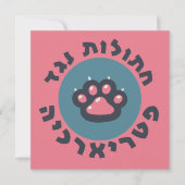 家父長制ユダヤ人フェミニストに反対するヘブライ猫 (正面)