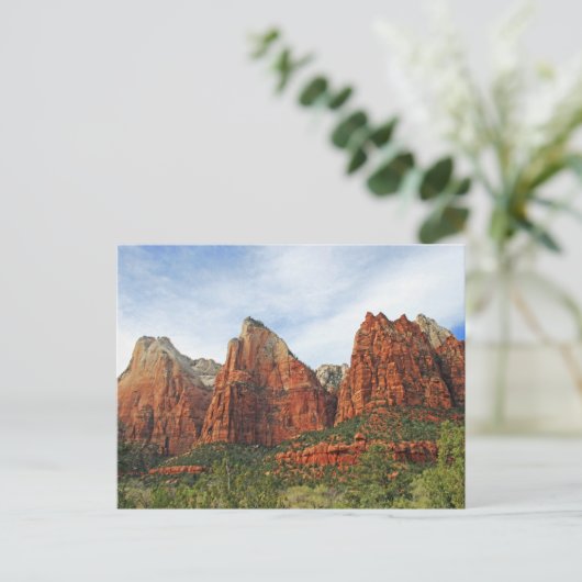 家父長官時代のはがき ポストカード (スタンド正面)