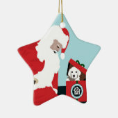家犬の救助のための操作の足-星Ornamen セラミックオーナメント (右)