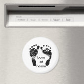 家生まれで マグネット (インサイチュ (食洗機))