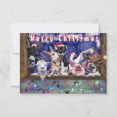 家畜パーティー付きおもしろいクリスマスカード カード (裏面)