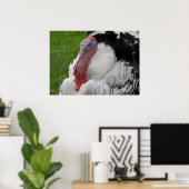 家畜化されたトルコ ポスター (ホームオフィス)