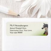 家畜獣医 ラベル (インサイチュ)