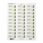 家畜獣医 ラベル (フルシート)