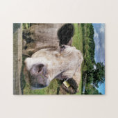 家畜、かわいい牛 ジグソーパズル (横)