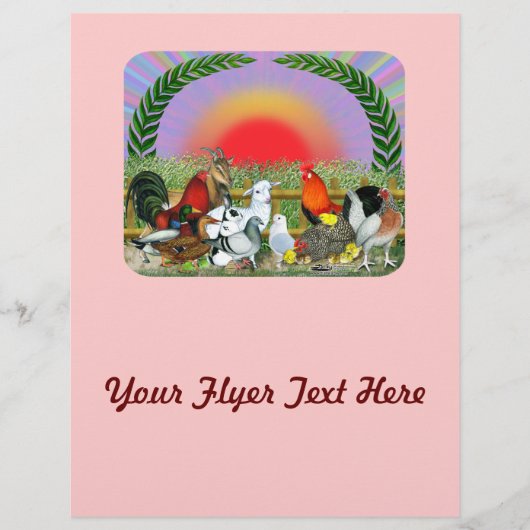 家畜 チラシ (正面)