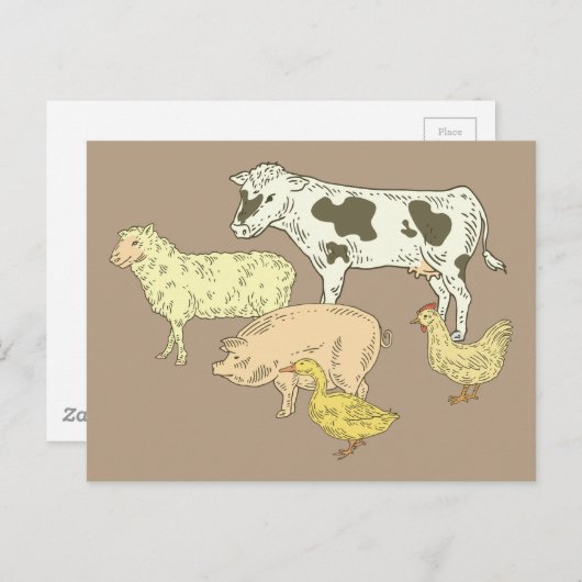 家畜 ポストカード (正面/裏面)