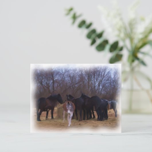 家畜 ポストカード (スタンド正面)