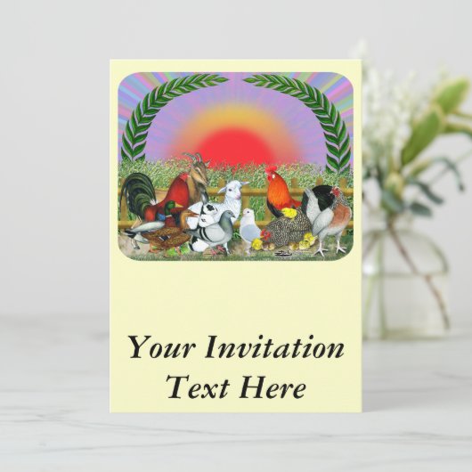 家畜 招待状 (スタンド正面)