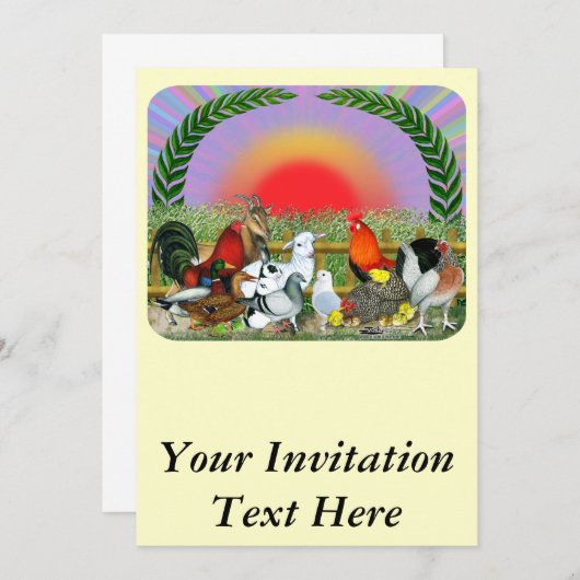 家畜 招待状 (正面/裏面)