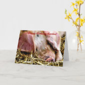 家畜，豚 カード (黄色い花)