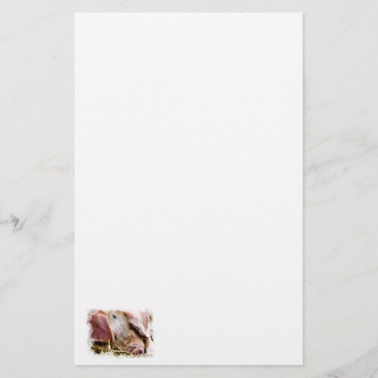 家畜，豚 便箋 (正面)