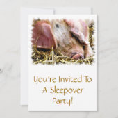 家畜,豚 招待状 (正面)