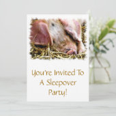 家畜，豚 招待状 (スタンド正面)