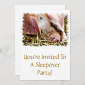 家畜，豚 招待状 (正面/裏面)