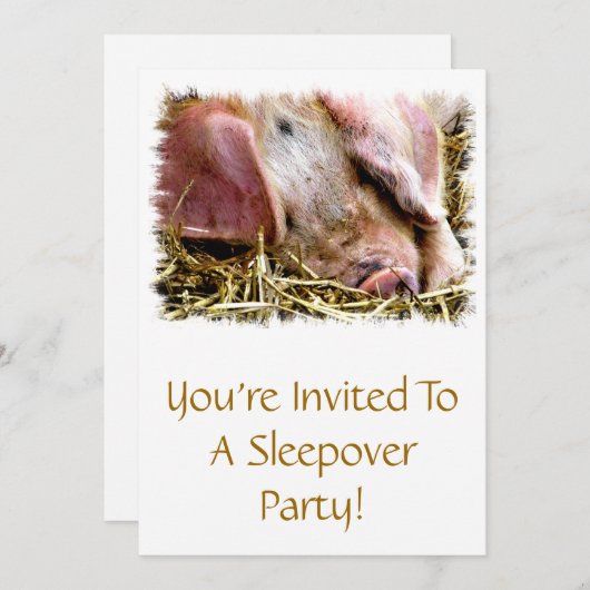 家畜，豚 招待状 (正面/裏面)