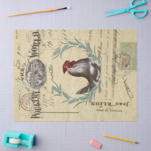 家禽の世界エフェメラ分離組織 薄葉紙 (クラフト)