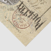 家禽の世界エフェメラ分離組織 薄葉紙 (詳細)