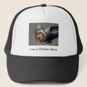 家禽を襲うタカ キャップ (正面)