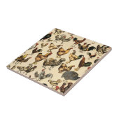 家禽農場の鶏とヘンアート タイル (側面)