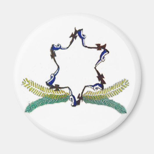 家紋マグネット丸型 マグネット (正面)