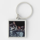 容器の子ネコ キーホルダー (正面)