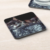 容器の子ネコ コースター (左側)