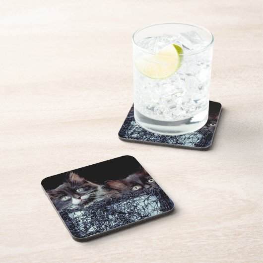 容器の子ネコ コースター (右側)
