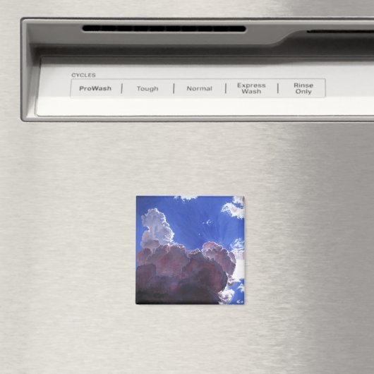 容赦ないLED 2012 マグネット (インサイチュ (食洗機))