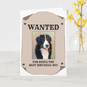 宿題食べ物の犬の写カスタム真を望む カード (黄色い花)