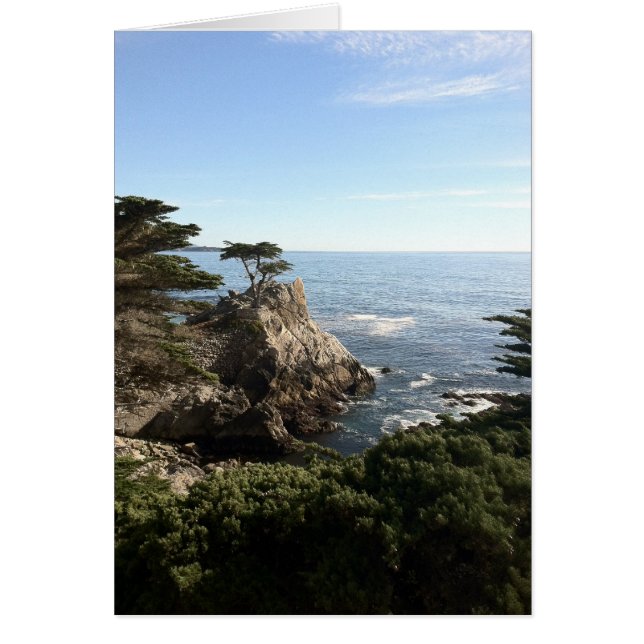 寂しい木 (正面)