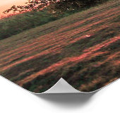 寂しい梨の木 ポスター (角)