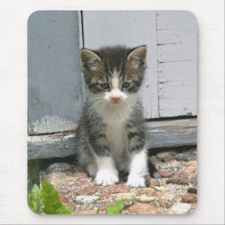 寂しく悲しいGershwinの子猫猫の子ネコのマウスパッド マウスパッド