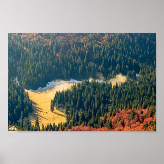 寂し転がい秋の野原に霧がかかっている ポスター (正面)