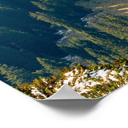 寂し転がい秋の野原に霧がかかっている ポスター (角)