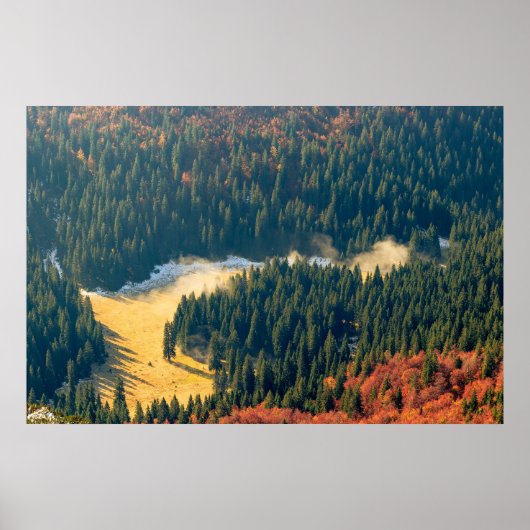 寂し転がい秋の野原に霧がかかっている ポスター (正面)