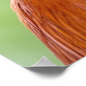 寄り添う鶏 ポスター (角)