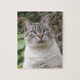 寄り目の猫 ジグソーパズル