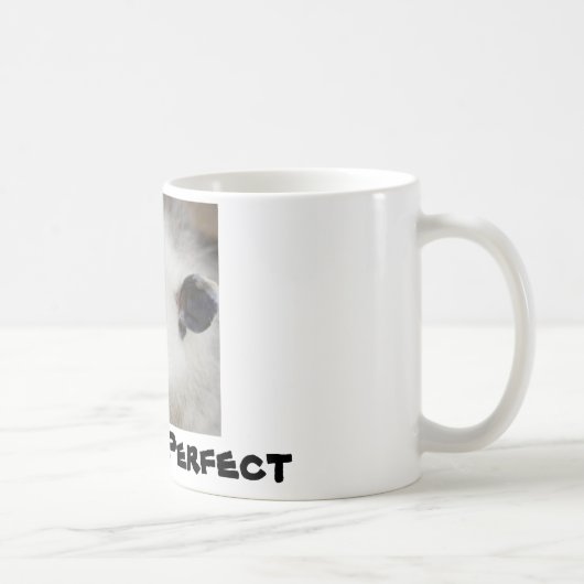 寄り目のOpposum、ハイディ コーヒーマグカップ (右)