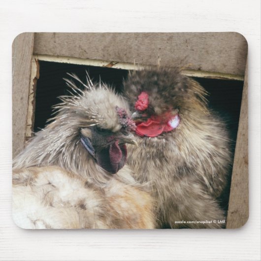 寄添うSilkieの鶏の雌鶏-家禽のマウスパッド マウスパッド (正面)