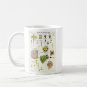 寄生及び食虫植物 コーヒーマグカップ