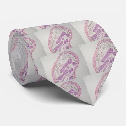 寄生線虫みみず(Ascaris sp。) ネクタイ (ロール)