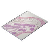 寄生線虫みみず(Ascaris sp。) ノートブック (左側)