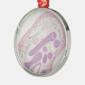 寄生線虫みみず(Ascaris sp。) メタルオーナメント (左)