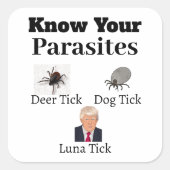寄生虫ステッカー スクエアシール (正面)