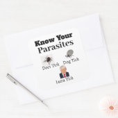 寄生虫ステッカー スクエアシール (封筒)