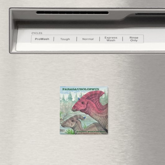 寄生虫磁石 マグネット (インサイチュ (食洗機))