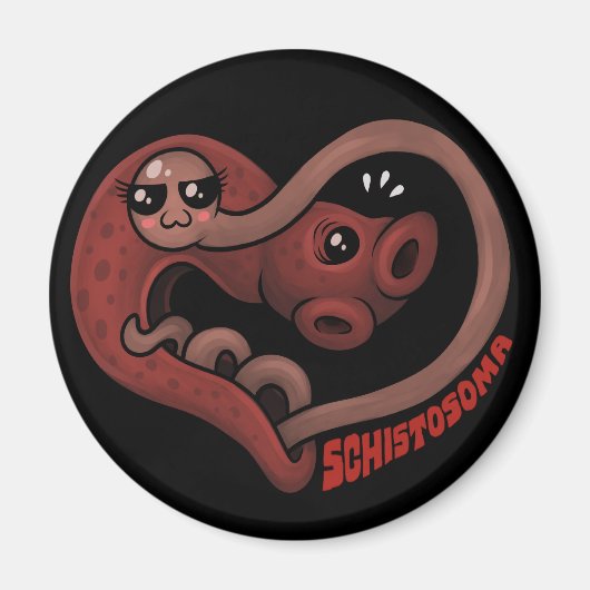 寄生虫：血吸虫 マグネット (正面)