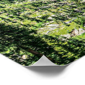 密な森の背景//スキーリゾート走 ポスター (角)