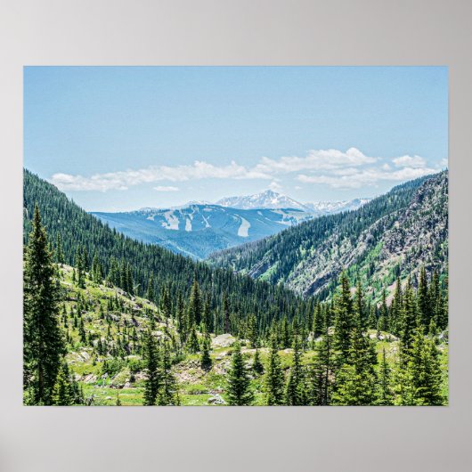 密な森の背景//スキーリゾート走 ポスター (正面)